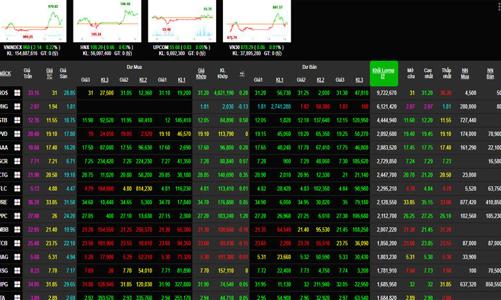 Phương án bồi thường thiệt hại cho nhà đầu tư cổ phiếu ROS