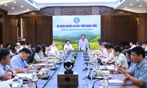 Đề xuất thành lập Hội đồng lúa gạo quốc gia