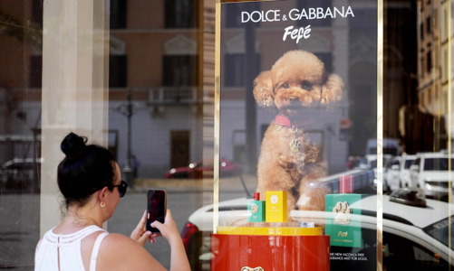 Thương hiệu xa xỉ đầu tư vào thị trường dành cho thú cưng