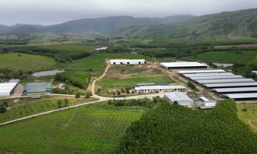 TP.HCM: Đất cho thuê, giao đất nếu không gia hạn sẽ bị thu hồi