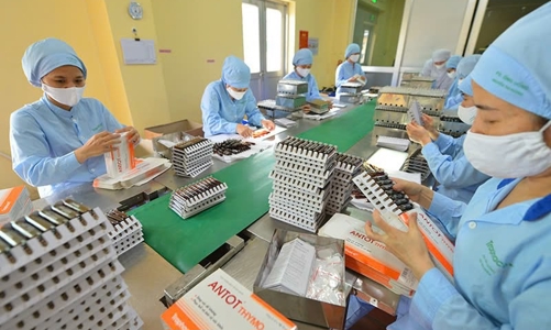 Thúc đẩy các giải pháp dựa vào tự nhiên trong phát triển bền vững doanh nghiệp