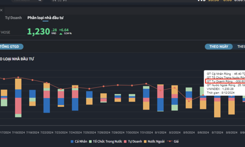 Dòng tiền dè dặt, nhà đầu tư cá nhân mua ròng nhỏ giọt, tự doanh xả mạnh
