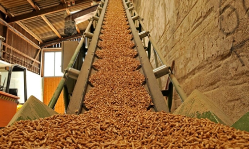 Xuất khẩu viên nén vào châu Âu: Thị trường tiềm năng cho các doanh nghiệp Việt Nam