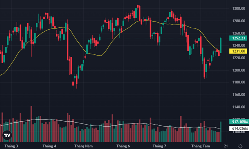 Cổ phiếu kịch trần cả loạt, VN-Index tăng mạnh kỷ lục 9 tháng
