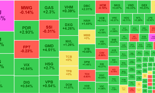 Dòng tiền tiếp đà hưng phấn, thanh khoản duy trì mức cao, VN-Index vượt 1260 điểm