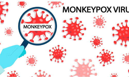 Tình hình bệnh đậu mùa Khỉ tại khu vực phía Nam  