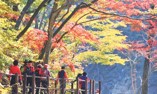 Thị trường tour mùa thu khởi động sớm