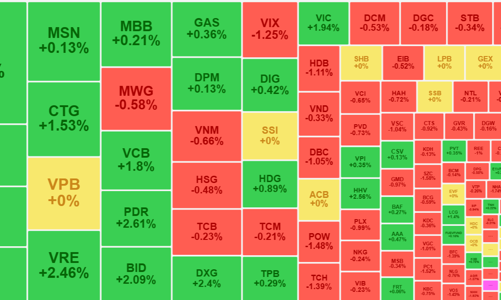 Dòng tiền tập trung đỡ cổ phiếu blue-chips