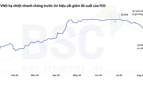 Tỷ giá đã tác động thế nào tới doanh nghiệp niêm yết trong nửa đầu năm 2024? 