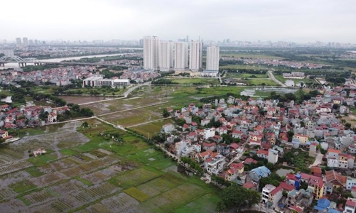 Giải pháp đấu giá quyền sử dụng đất minh bạch, hiệu quả