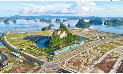 Quảng Ninh quy hoạch đảo Núi Cuống thành khu du lịch nghỉ dưỡng