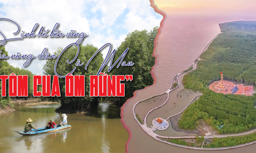 Sinh kế bền vững của nông dân Cà Mau: “Tôm cua ôm rừng”