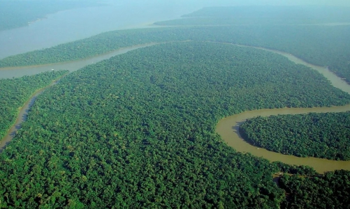 Chiến lược tín chỉ carbon trị giá 11 tỷ đô của Brazil