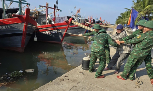 Ứng phó siêu bão, Ninh Bình - Thanh Hóa cấm biển 