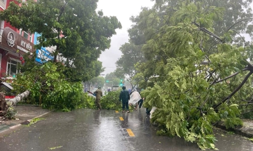 Bão số 3 hoành hành dữ dội, nhiều tỉnh mất điện, 4 người thiệt mạng, hàng nghìn cây xanh bị đổ…