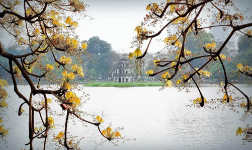 Đã có 11,4 triệu khách quốc tế đến Việt Nam trong 8 tháng qua