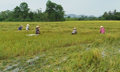Thanh Hóa chi thêm gần 17 tỷ khắc phục thiệt hại do thiên tai