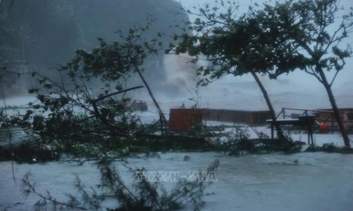 Doanh nghiệp bảo hiểm ước chi trả hàng trăm tỷ cho nạn nhân của bão số 3