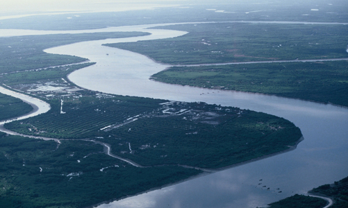 Bão số 3 khiến mực nước sông Mekong tăng, dự báo đạt đỉnh lũ vào tháng 10