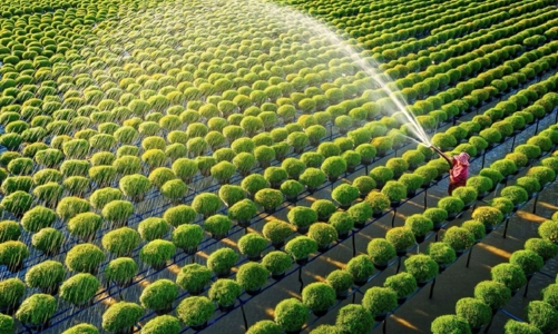 Doanh nghiệp muốn trường tồn và phát triển không thể đi ra ngoài “đường ray” phát triển bền vững