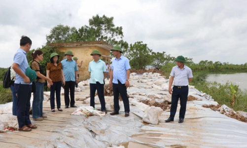 Đã xảy ra 70 sự cố đê điều trên địa bàn 11 tỉnh, thành phố