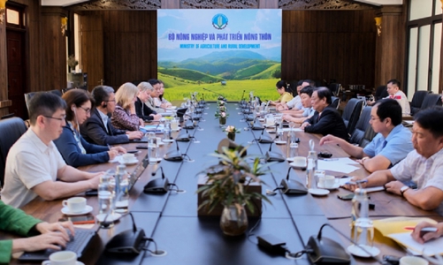 Ngân hàng Thế giới đồng thuận mua tín chỉ carbon trong đề án trồng lúa giảm phát thải