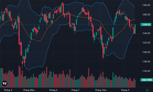 Thị trường đảo chiều rực rỡ, khối ngoại mua ròng kỷ lục 22 phiên