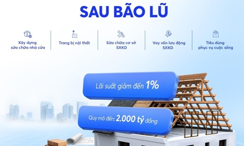 MB triển khai gói vay 2000 tỷ đồng hỗ trợ tái thiết cuộc sống cho khách hàng ảnh hưởng vùng bão lũ