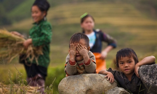 Hỗ trợ cho hơn 4.000 trẻ em trước nguy cơ bị bóc lột lao động 