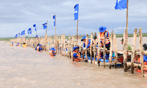 Doanh nghiệp nỗ lực phát triển bể hấp thụ Carbon, hướng đến mục tiêu Net Zero 2050