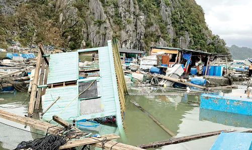 Chung sức vượt khó khăn vực dậy nông nghiệp sau bão