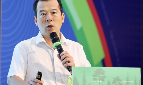 Nhiều địa phương vẫn đang hiểu có bao nhiêu rừng là có thể bán được bấy nhiêu tín chỉ carbon