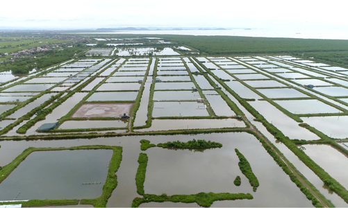 Hải Phòng: Hết hạn hợp tác dân không trả đầm, yêu cầu doanh nghiệp bồi thường hàng trăm tỷ