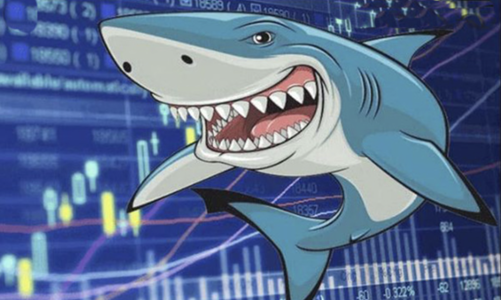 Lãi vượt trội trong tháng 8, quỹ ngoại Vietnam Holding gom tiếp nhóm ngân hàng và chứng khoán