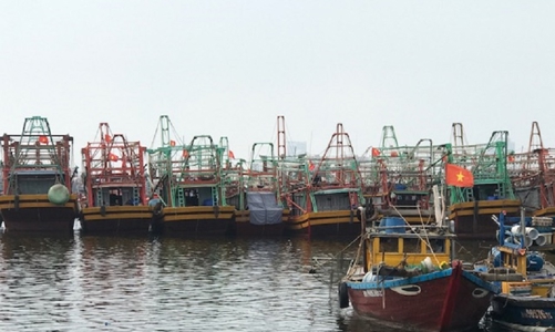 Đà Nẵng quyết liệt xử lý các hoạt động khai thác hải sản bất hợp pháp