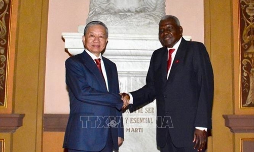 Việt Nam ủng hộ mạnh mẽ cách mạng Cuba