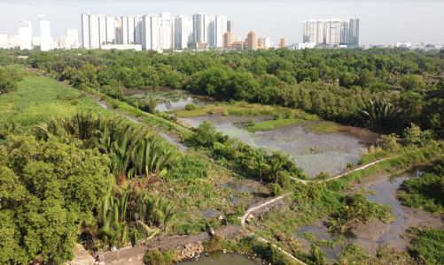 TP.HCM: Bồi thường bằng đất ở khi thu hồi đất nông nghiệp