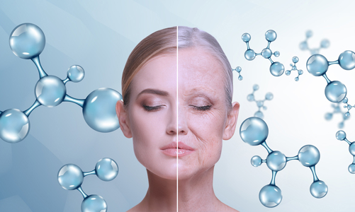 Sôi động cuộc đua tìm phương thuốc kéo dài tuổi thọ