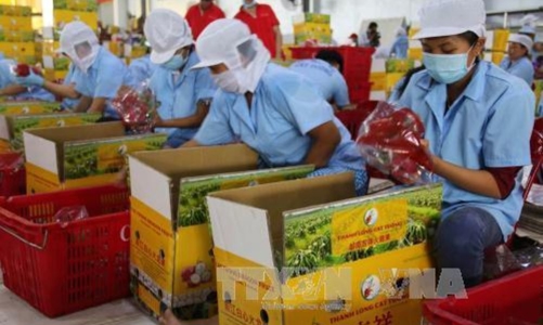 Xuất khẩu nông, lâm, thủy sản cuối năm sẽ nhiều thách thức