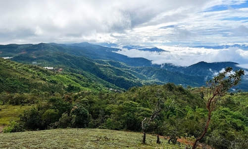 Sổ tay ESG: Công cụ giúp doanh nghiệp tiếp cận nguồn tài chính bền vững