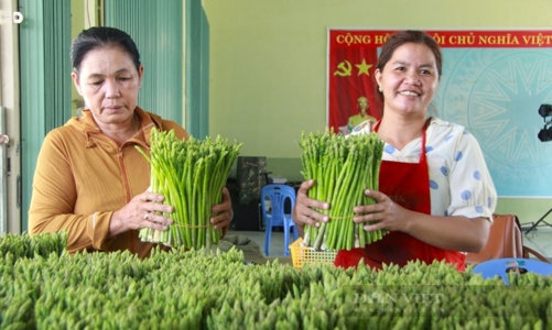 Chương trình Tự hào Nông dân Việt Nam 2024: Tôn vinh những nông dân có thành tích xuất sắc