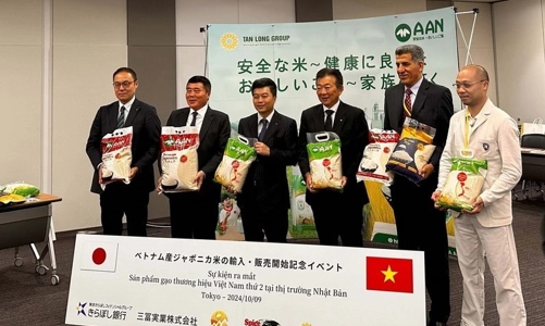  APONICA chất lượng cao, dòng gạo thứ 2 của thương hiệu AAN chính thức có mặt tại thị trường Nhật Bản