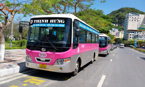 Hải Phòng bỏ quy hoạch phát triển xe buýt 