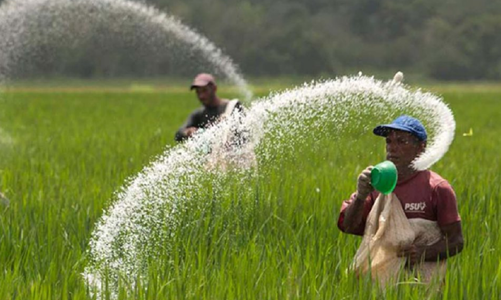 Một doanh nghiệp phân bón được dự báo lãi thêm hàng trăm tỷ nếu Luật thuế VAT được thông qua vào tháng 10