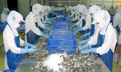 Shrimp exports gain nearly $2.8 bln in 9M