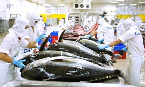 Doanh nghiệp xuất khẩu cá ngừ lo mất đơn hàng tại thị trường Trung Đông do căng thẳng leo thang