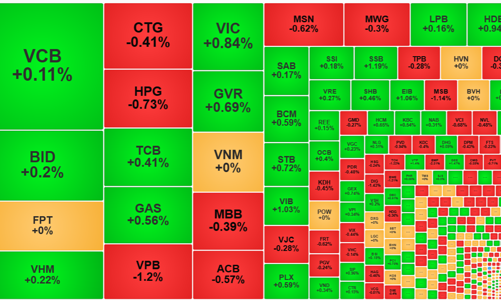 Thị trường chững lại sát vùng đỉnh 1300 điểm
