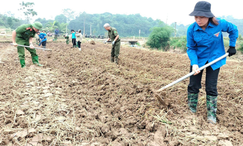 Thủ tướng yêu cầu ngành nông nghiệp đẩy nhanh phục hồi sản xuất