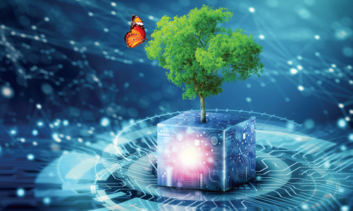 Thách thức trong chuyển đổi kép: Bài học từ thực tiễn doanh nghiệp