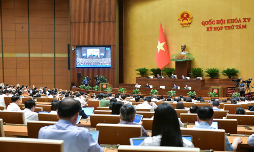 Kiến nghị xem xét hành vi mua bán người bao gồm cả việc 